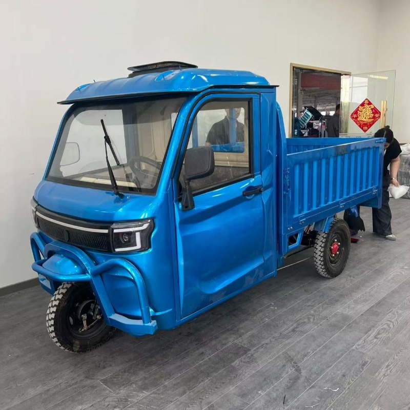 Electric Cargo Tricycle 800W M - Electric Scooter Adults ulasan dan harga