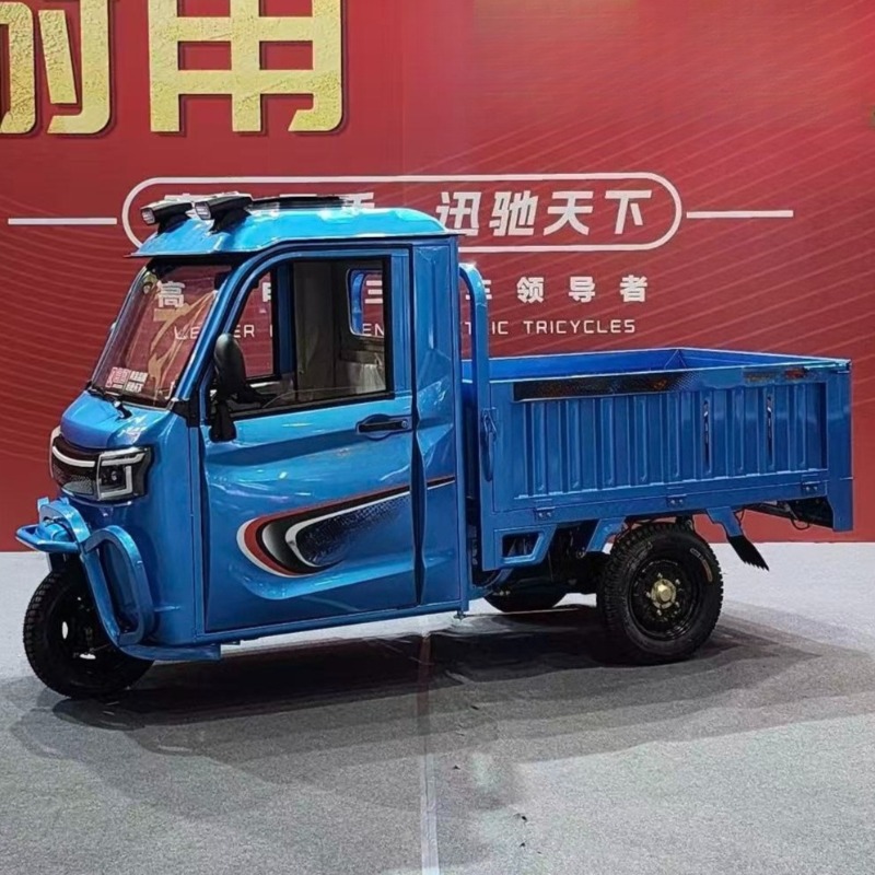 Electric Cargo Tricycle 800W M - Electric Scooter Adults ulasan dan harga